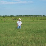Pasture (Florida)