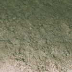 Turf Dirt without C-CAT PLUS