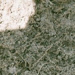 Turf Dirt with C-CAT PLUS