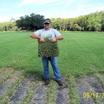 Floratam Sod with C-CAT PLUS