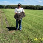 Floratam Sod with C-CAT PLUS