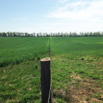Oklahoma Rye with MMTS